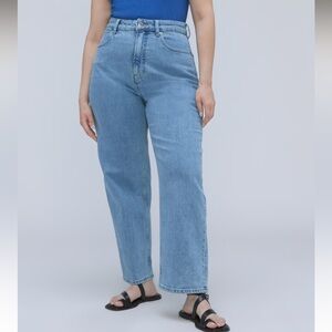 Everlane Curvy Way-High Jean Light Indigo